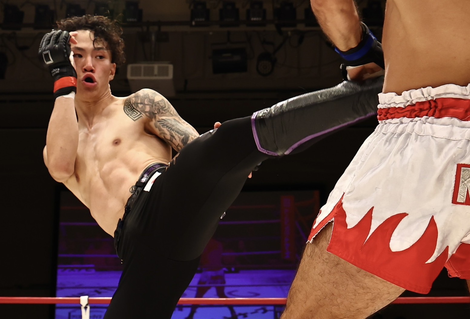 THE SUPER BOWL　　入手困難　写真集 10.11 手塚翔太「倒すことを大前提に、全ての攻撃で壊しに行く